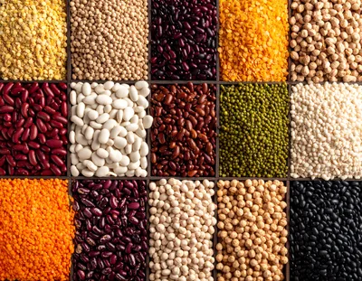 Assorted Legumes and Pulses in Wooden Grid