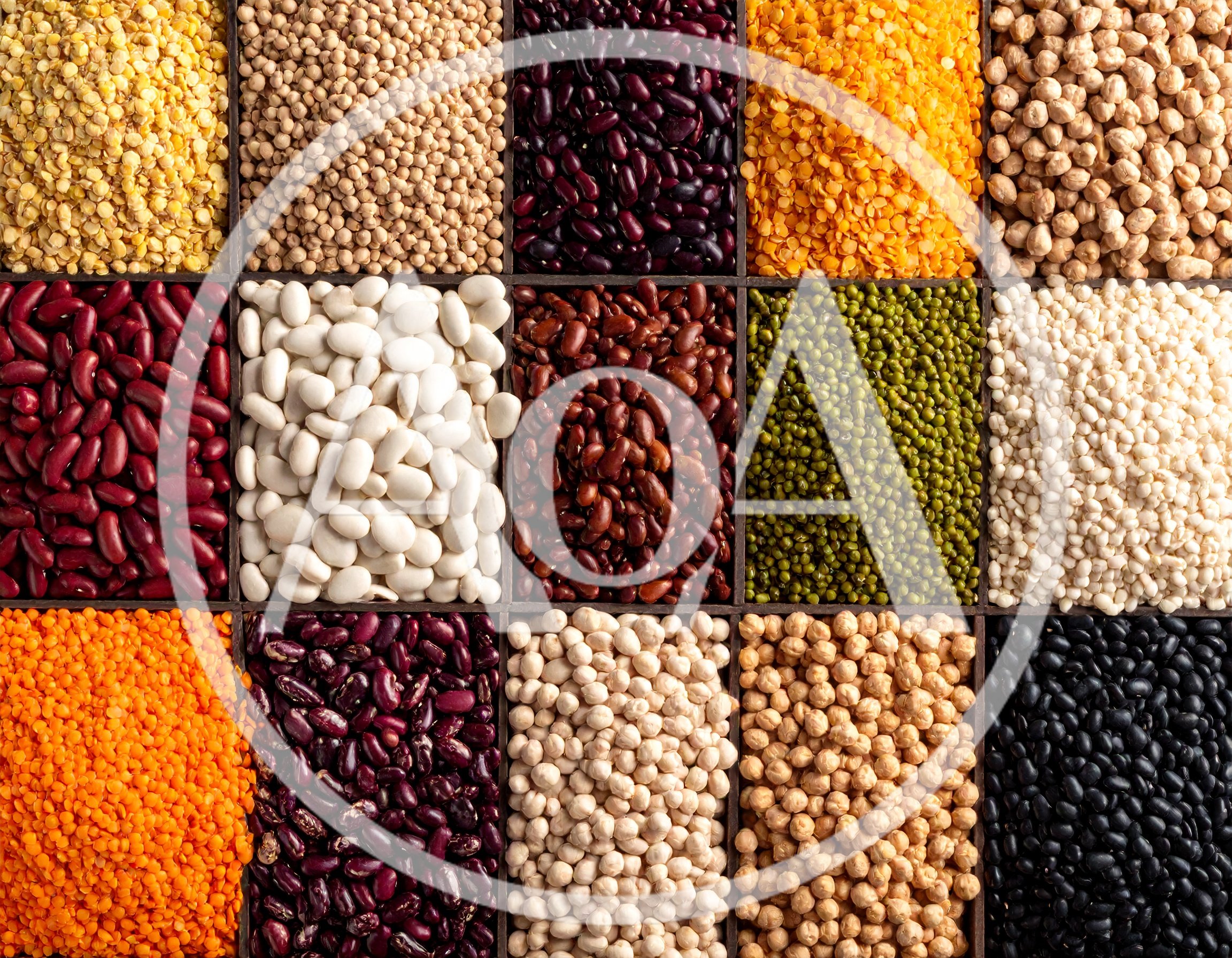 Assorted Legumes and Pulses in Wooden Grid