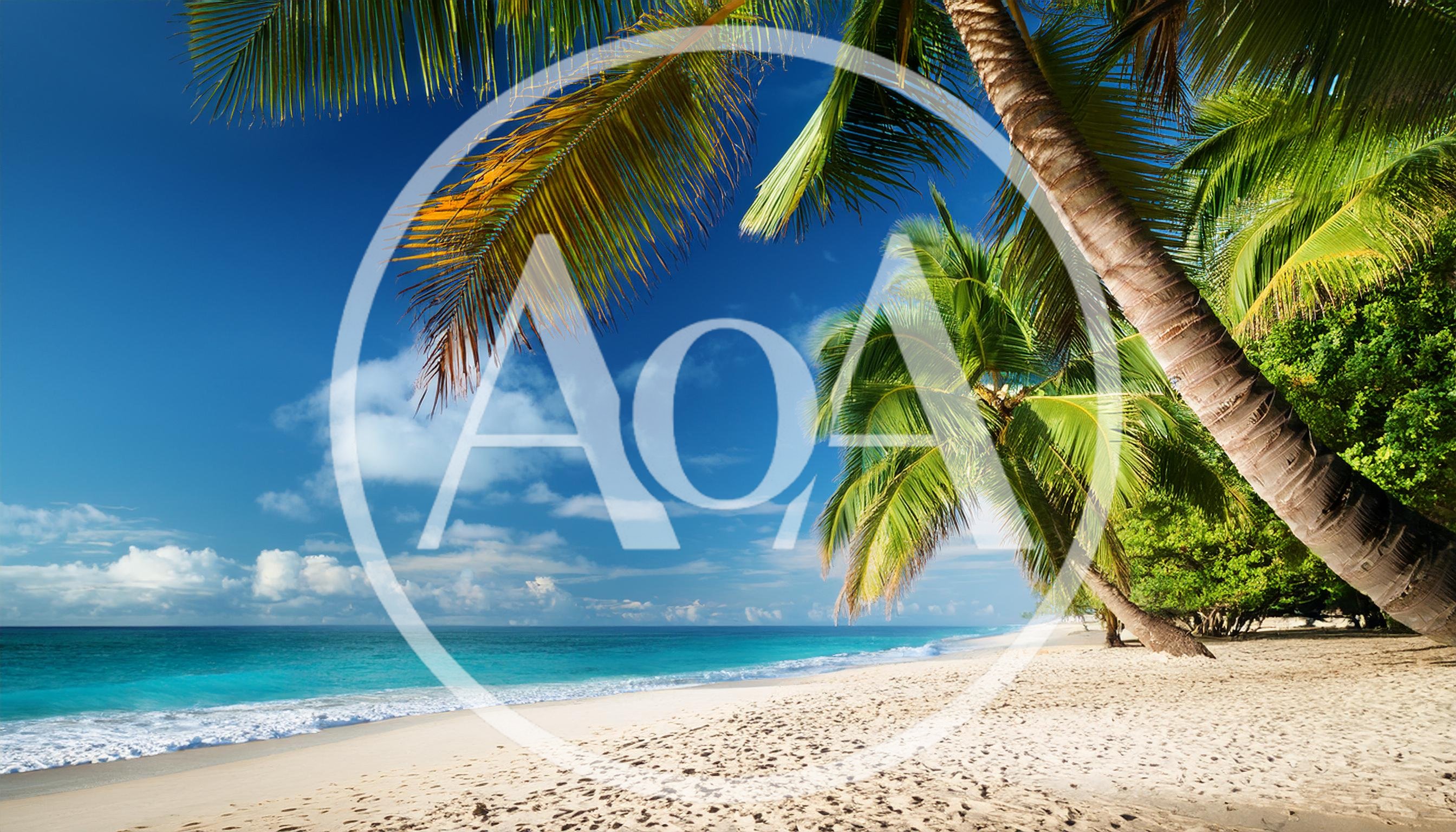 Tropical Beach Scene With Palm Trees And Turquoise Water