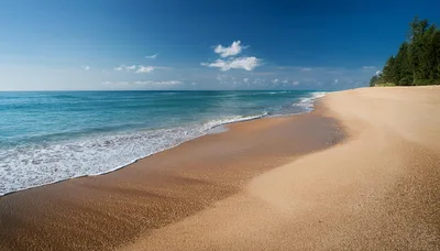 Empty Tropical Beach With Turquoise Ocean And Pine Trees