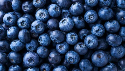 Fresh Ripe Blueberries Background Texture