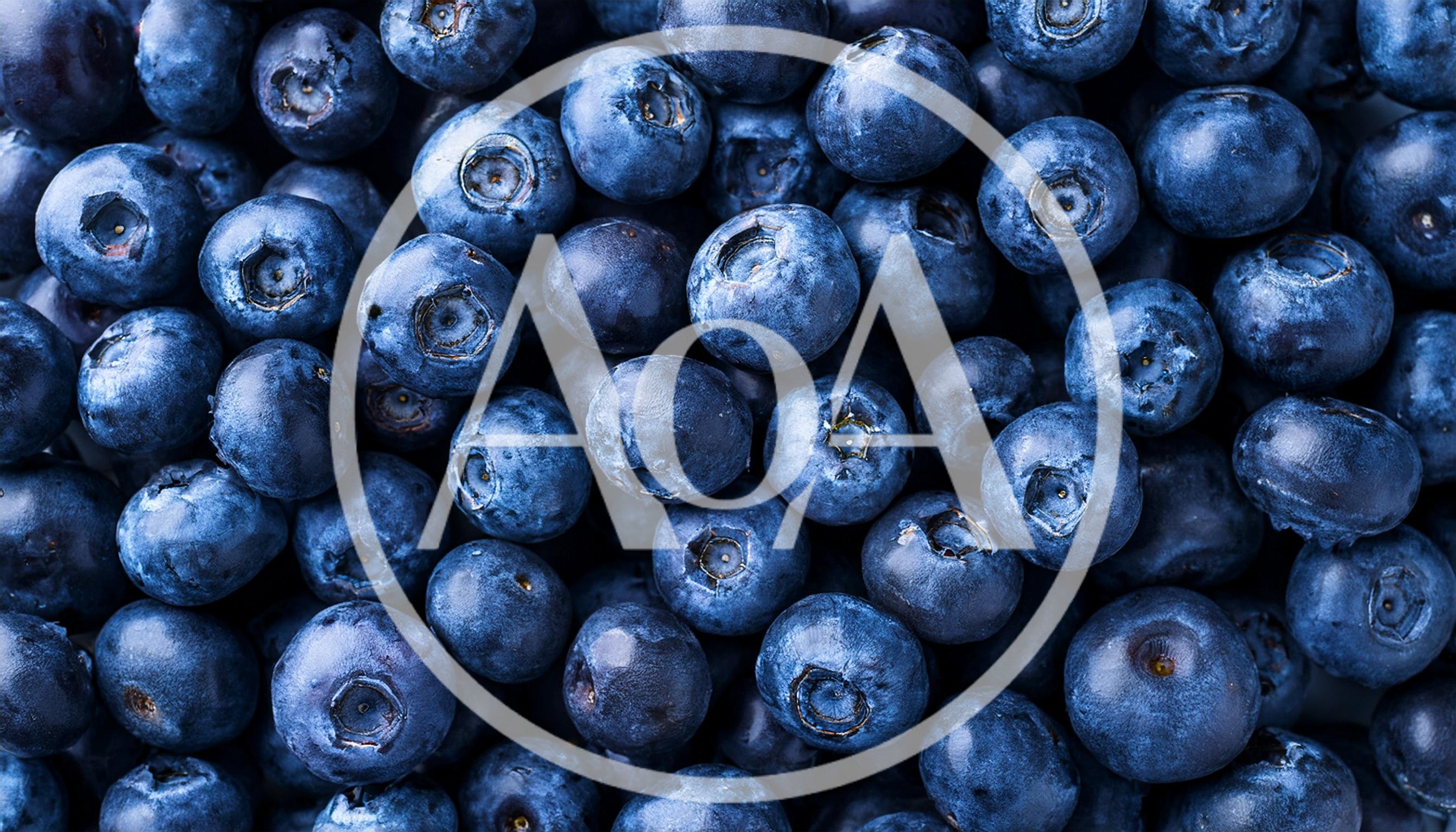 Fresh Ripe Blueberries Background Texture