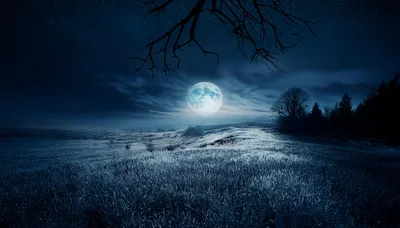 Full Moon Over A Frosty Night Meadow