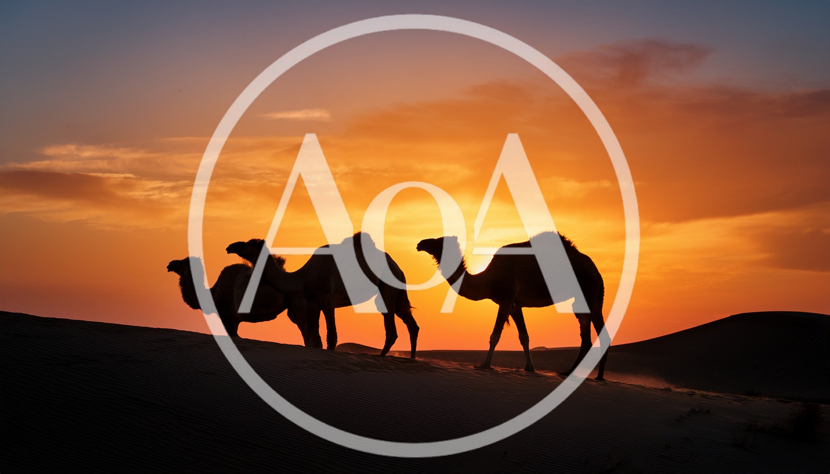 Silhouetted Camels Walking Across Desert Dunes At Sunset