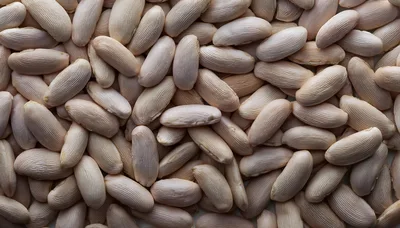 Top View Of Dried White Beans