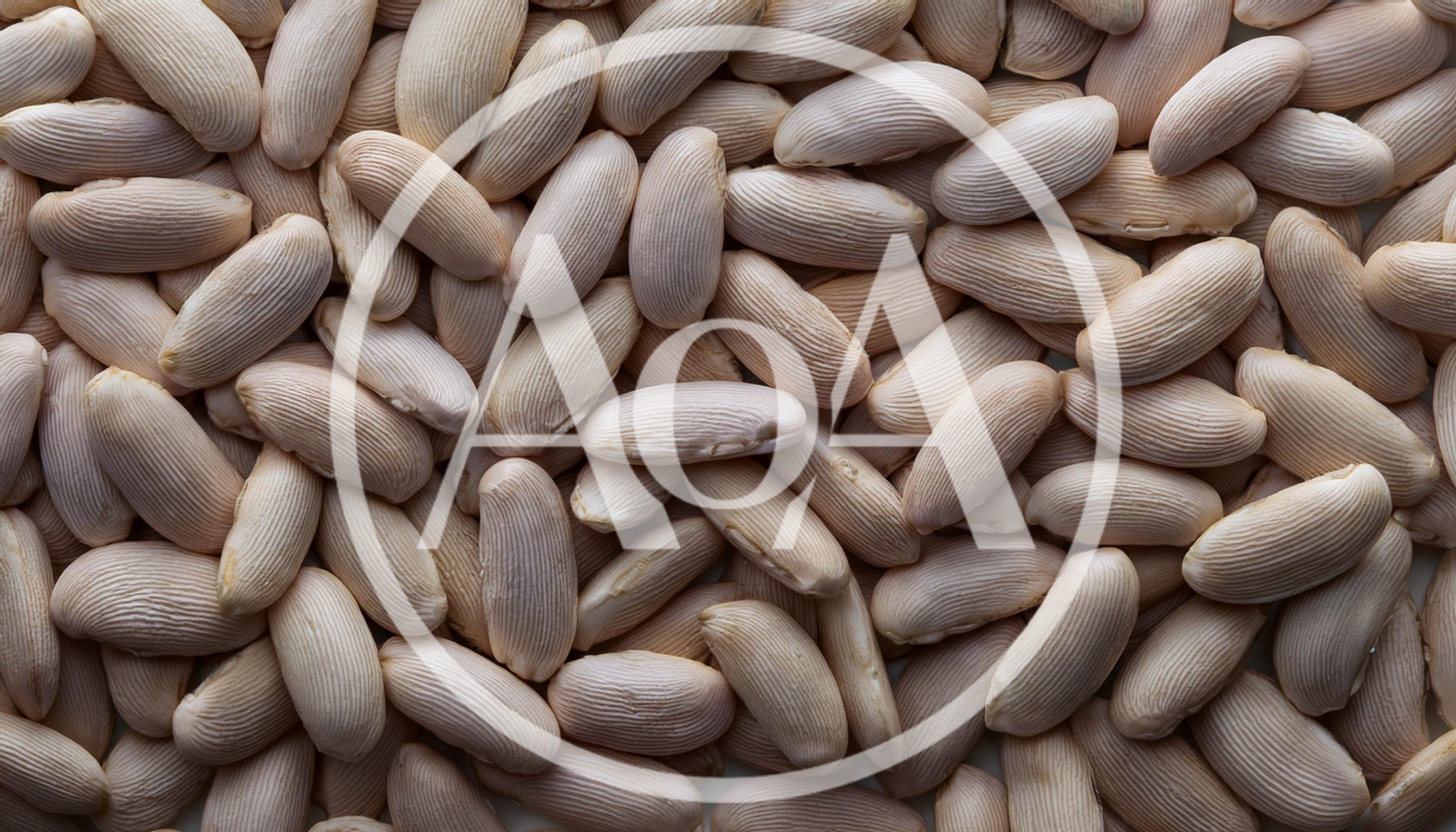 Top View Of Dried White Beans