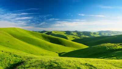 Rolling Green Hills Under A Clear Blue Sky