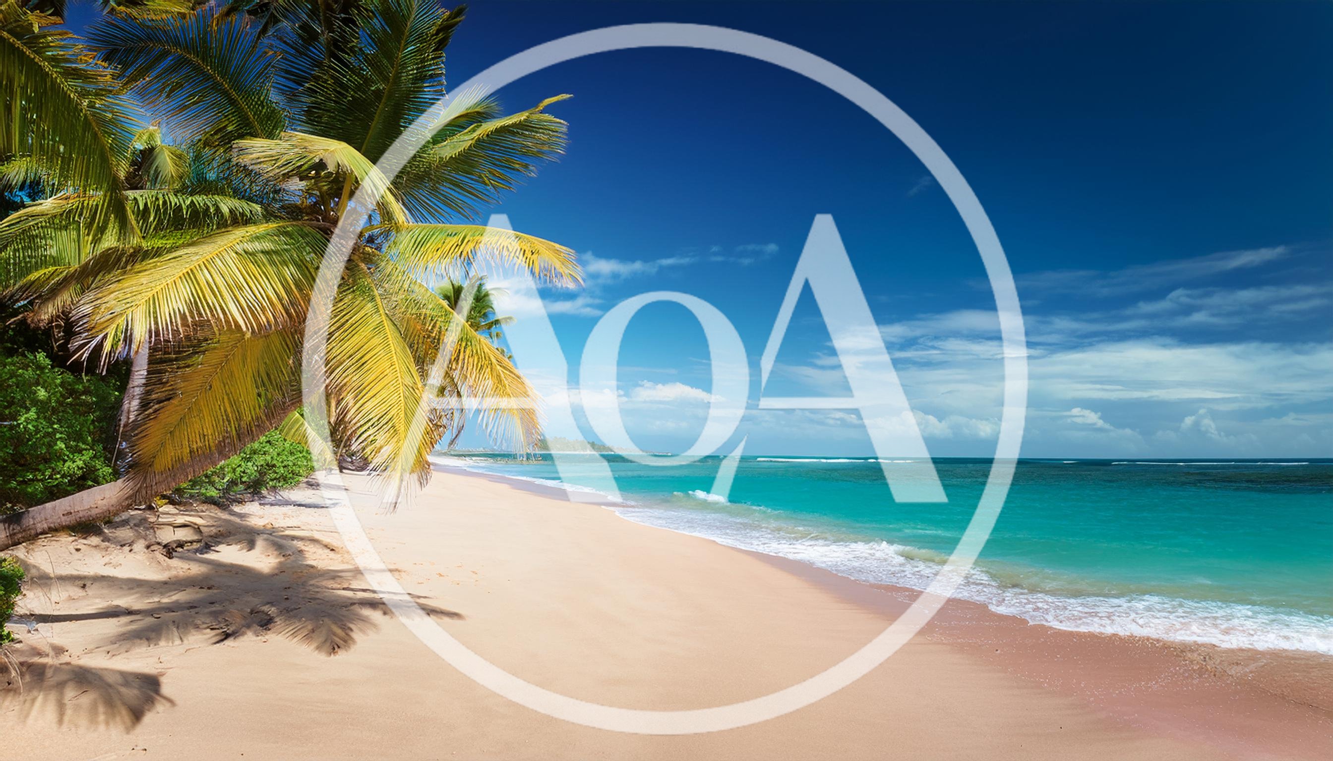 Tropical Beach Scene With Palm Trees And Turquoise Water