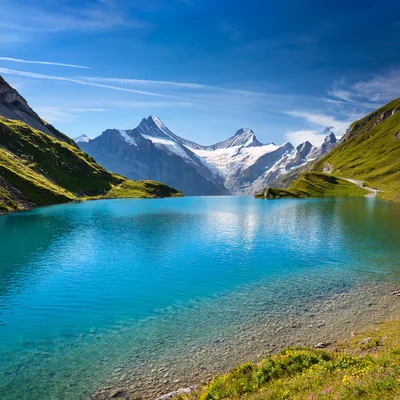 Bachalpsee Lake With Wetterhorn Peaks In Swiss Alps