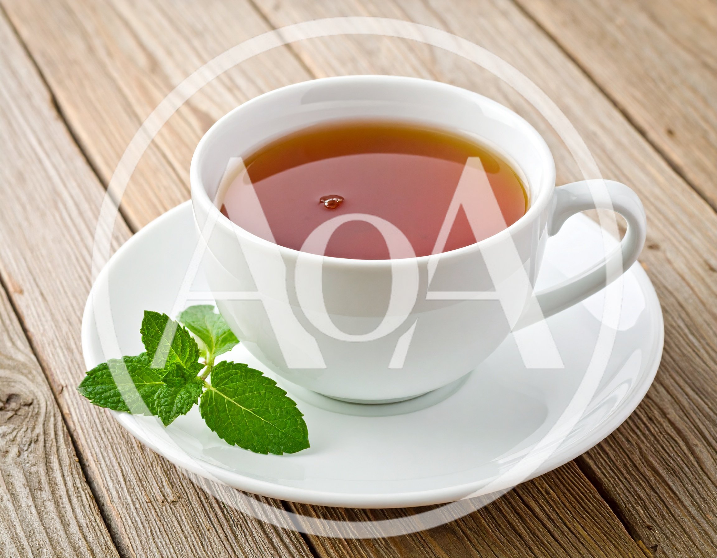 White Cup Of Tea With Fresh Mint Leaves