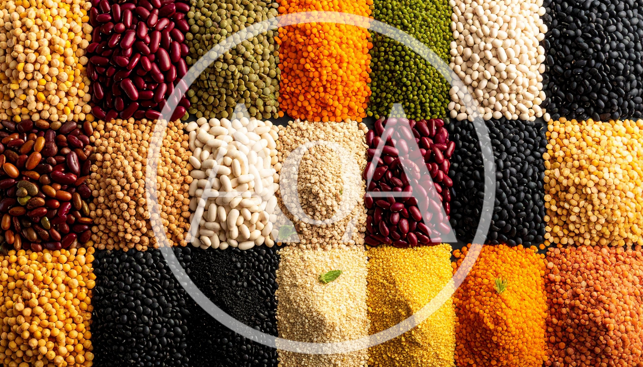 Assorted Dried Legumes and Grains Arranged in Rows