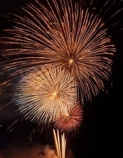 Golden Fireworks Display Against Dark Night Sky