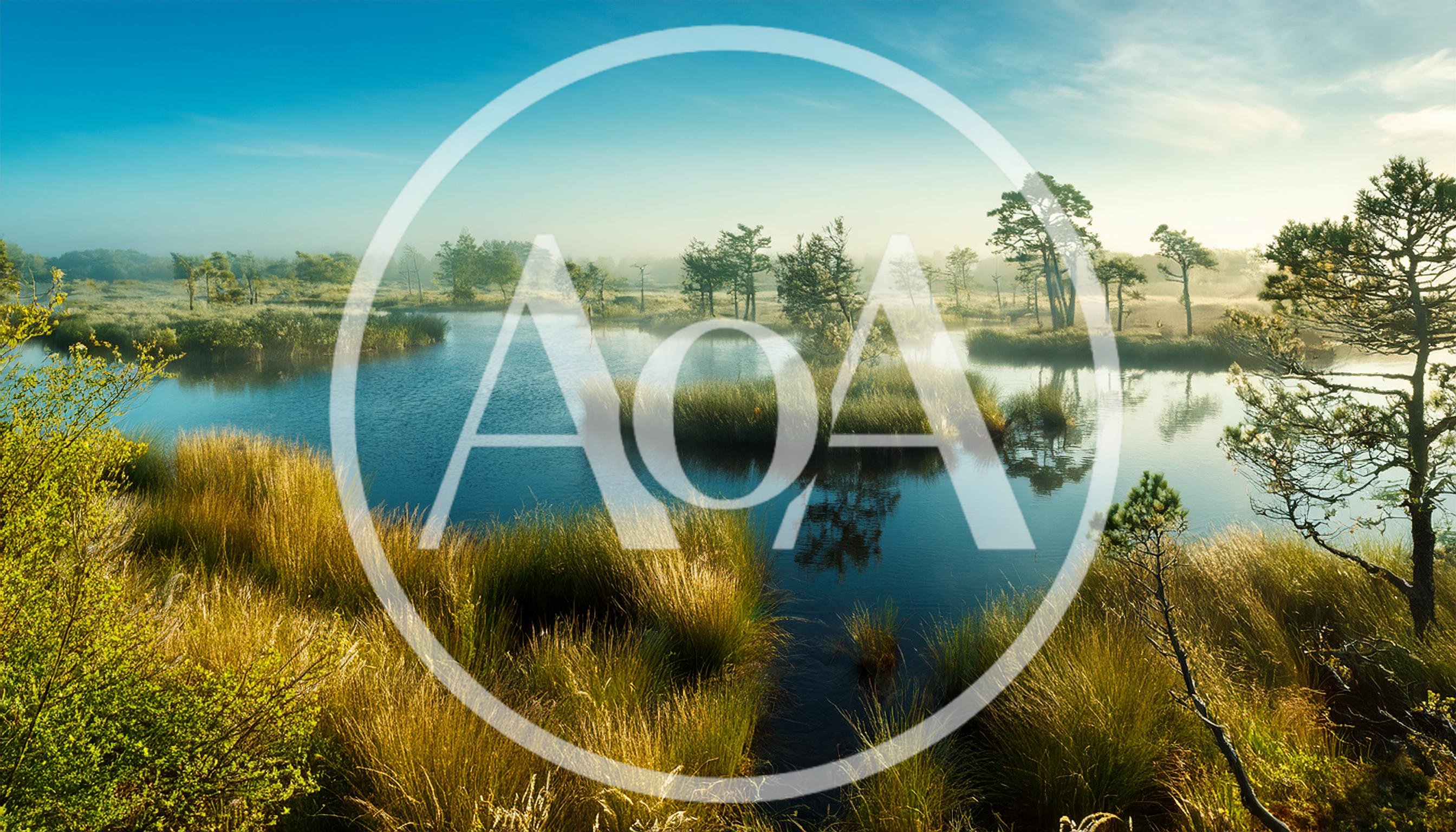 Misty Morning Landscape Over A Serene Bog Lake