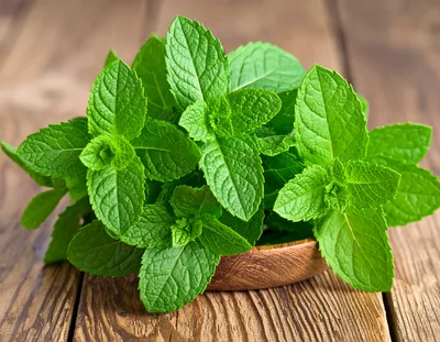 Fresh Green Mint Leaves In A Wooden Bowl