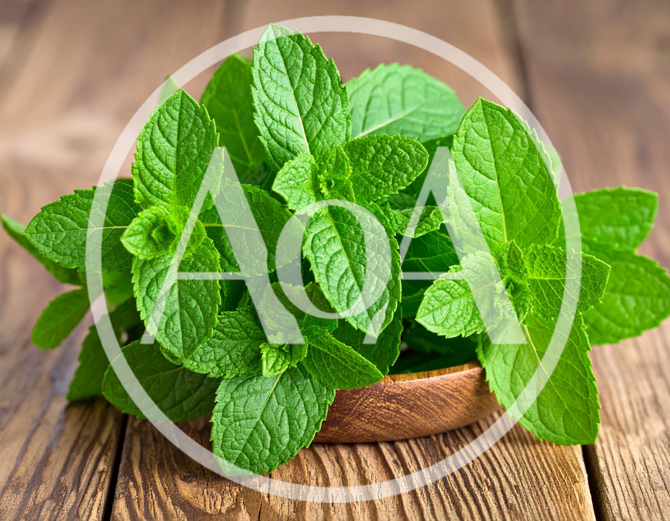 Fresh Green Mint Leaves In A Wooden Bowl