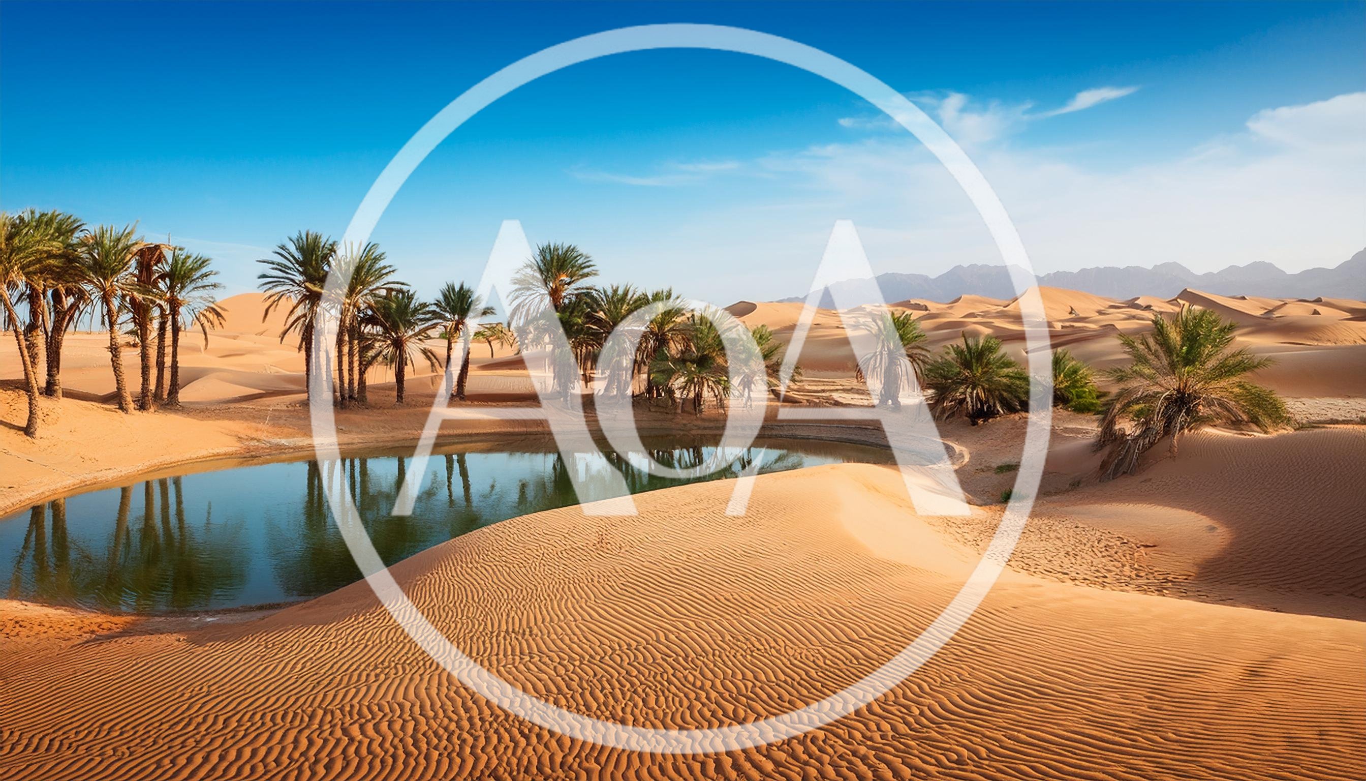 Oasis With Palm Trees In The Sahara Desert