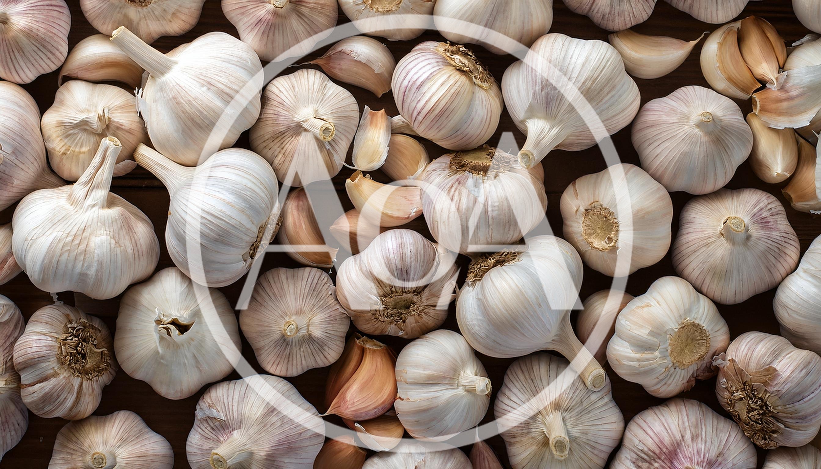Fresh Organic Garlic Bulbs and Cloves Background