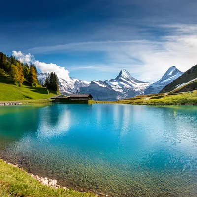 Bachalpsee Lake With Wetterhorn And Schreckhorn Mountain Peaks