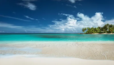 Tropical Beach With Turquoise Water And Palm Trees
