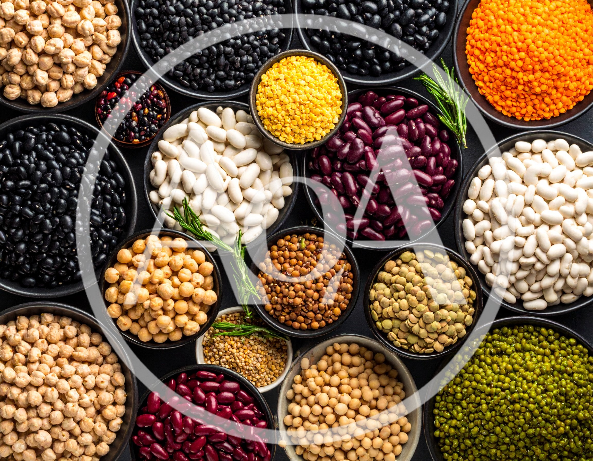 Assorted Legumes and Pulses in Bowls