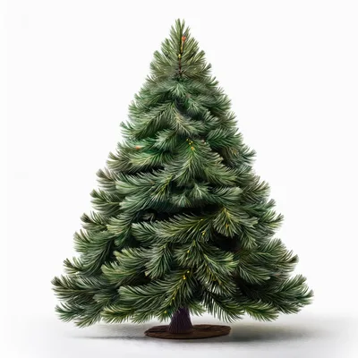 Isolated Realistic Green Christmas Tree