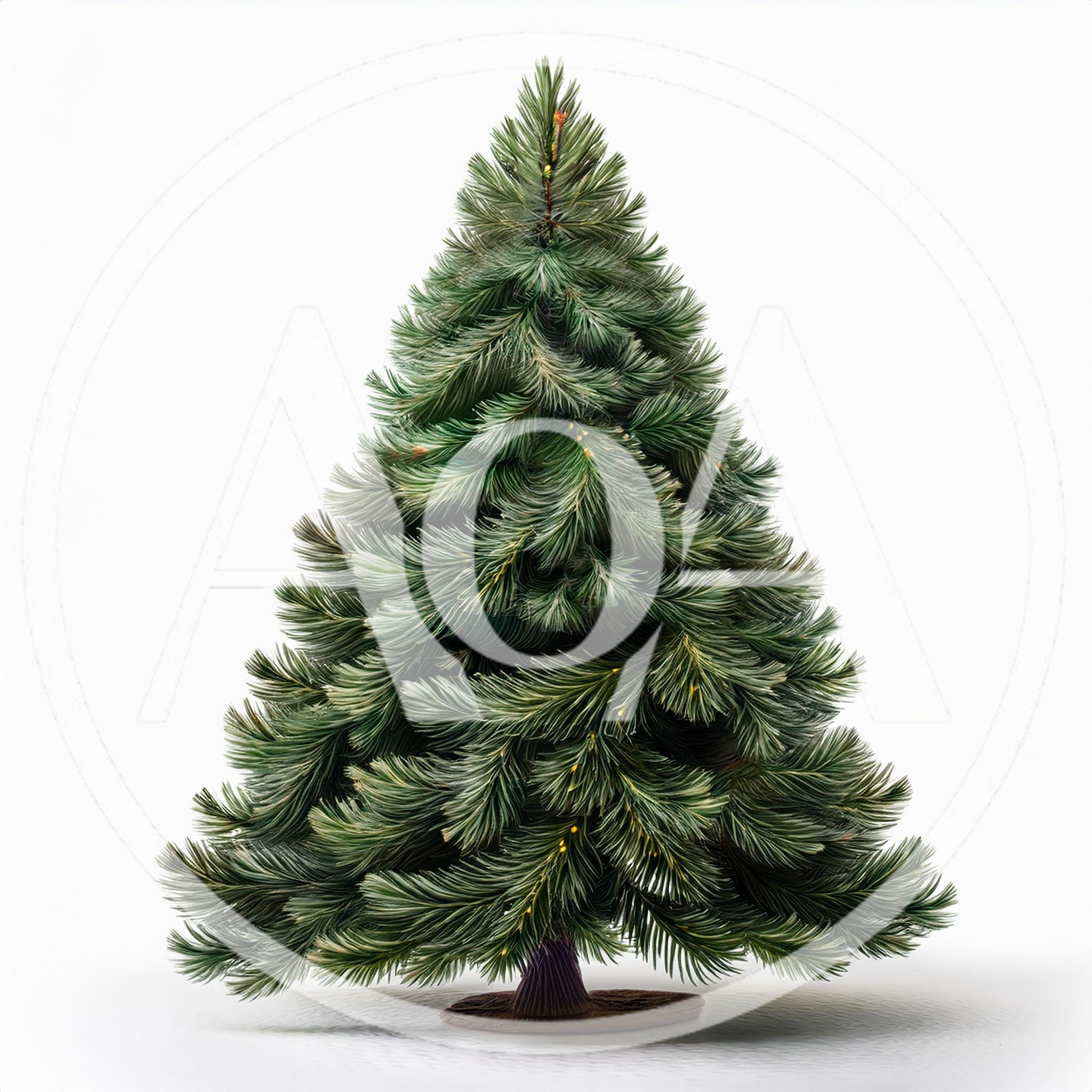 Isolated Realistic Green Christmas Tree