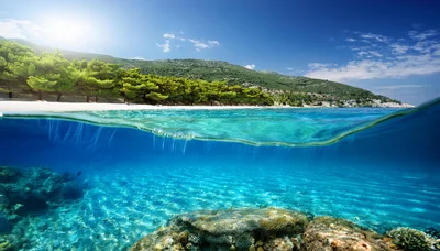 Split Level Underwater View Of Tropical Beach And Reef