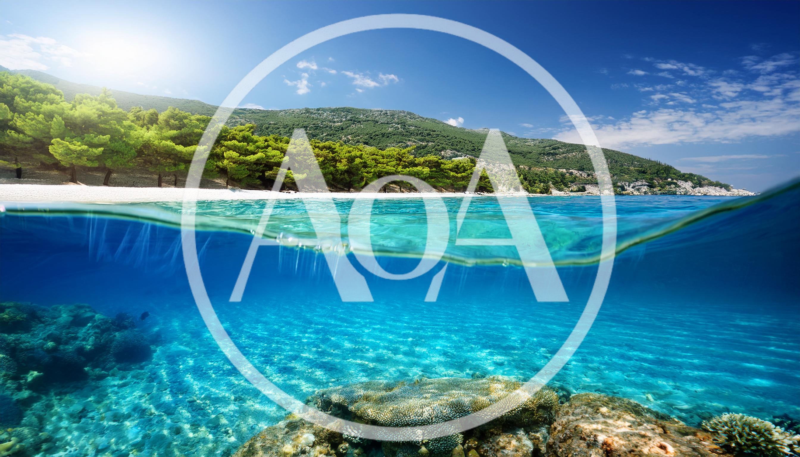 Split Level Underwater View Of Tropical Beach And Reef