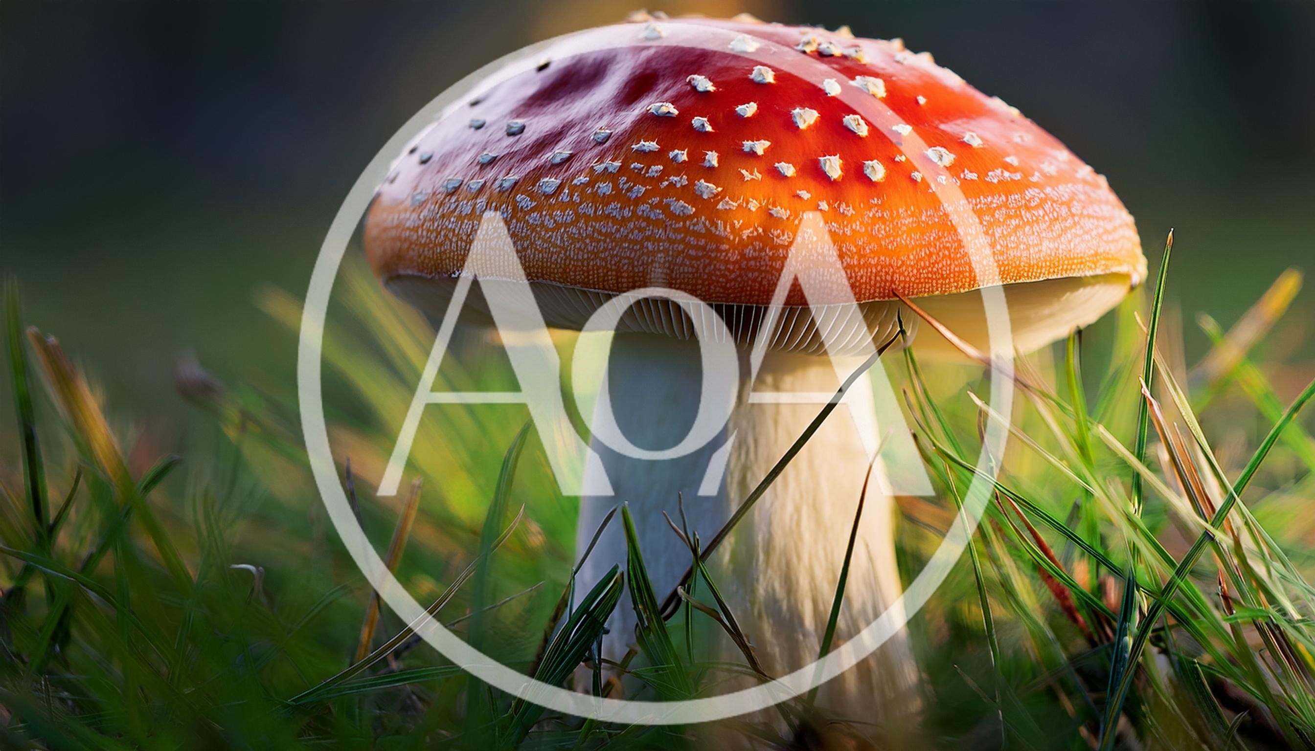 Amanita Muscaria Mushroom Growing In Green Grass