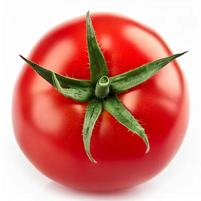 Single Fresh Red Tomato With Green Stem