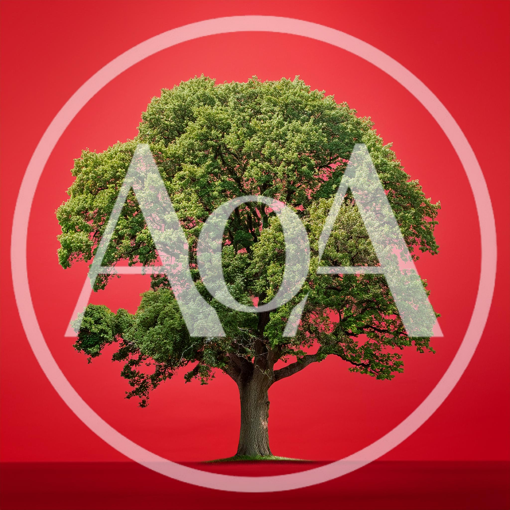Large Deciduous Oak Tree Against Solid Red Background