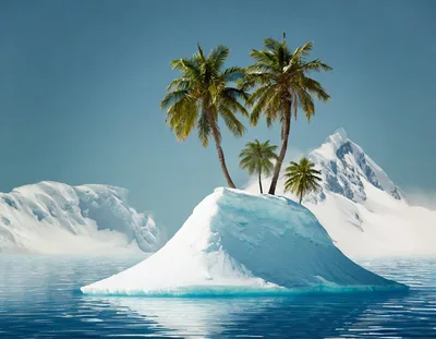 Tropical Palm Trees Growing On A Snowy Iceberg