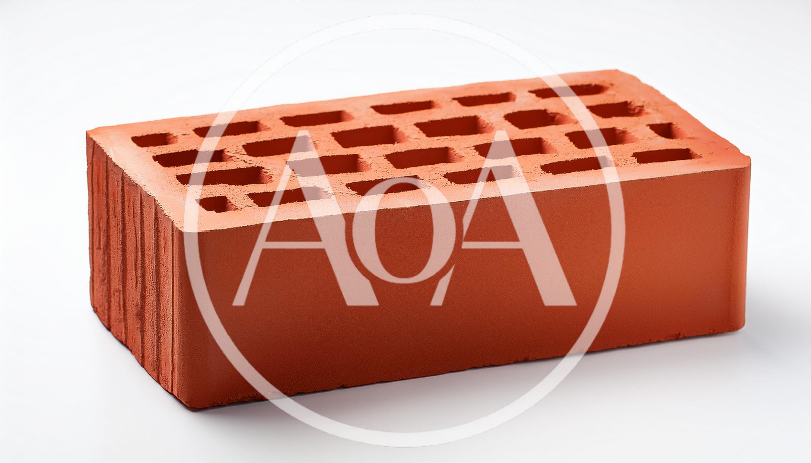 Single Red Perforated Clay Brick