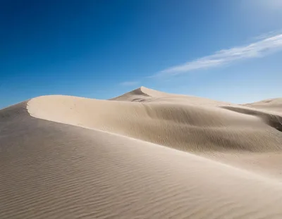 Expansive Sand Dunes Under A Clear Blue Sky