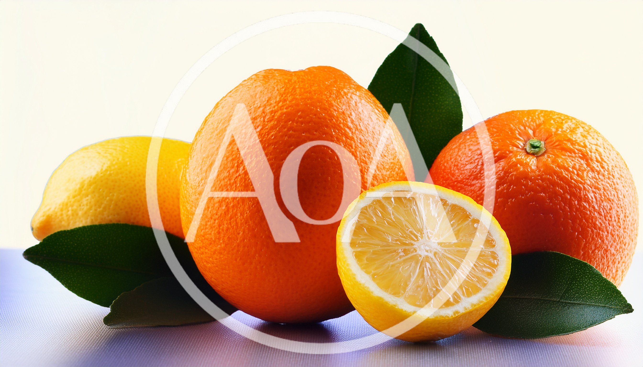 Fresh Citrus Fruits With Green Leaves On White Surface