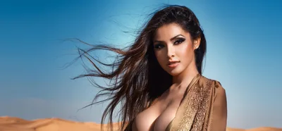 Glamorous Woman Posing In The Desert