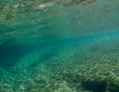 Underwater View Of Clear Tropical Ocean Floor