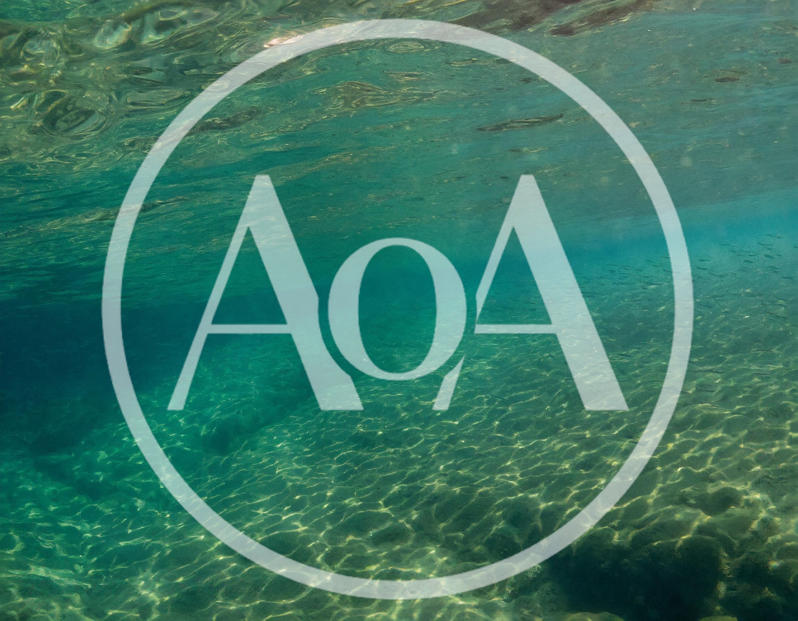 Underwater View Of Clear Tropical Ocean Floor