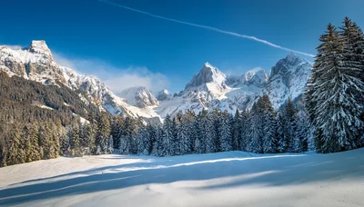 Snow Covered Alpine Forest And Jagged Mountain Peaks