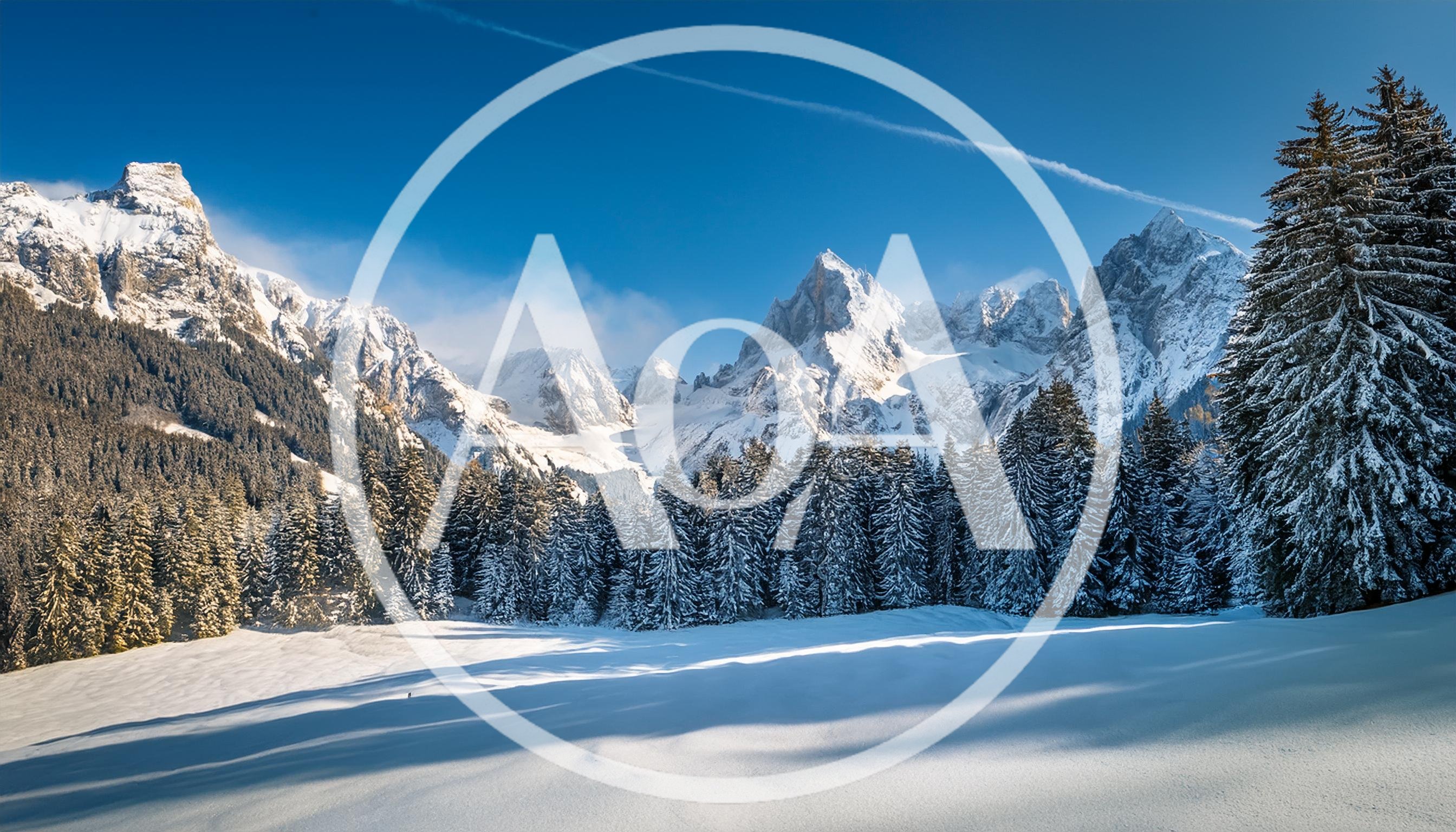 Snow Covered Alpine Forest And Jagged Mountain Peaks