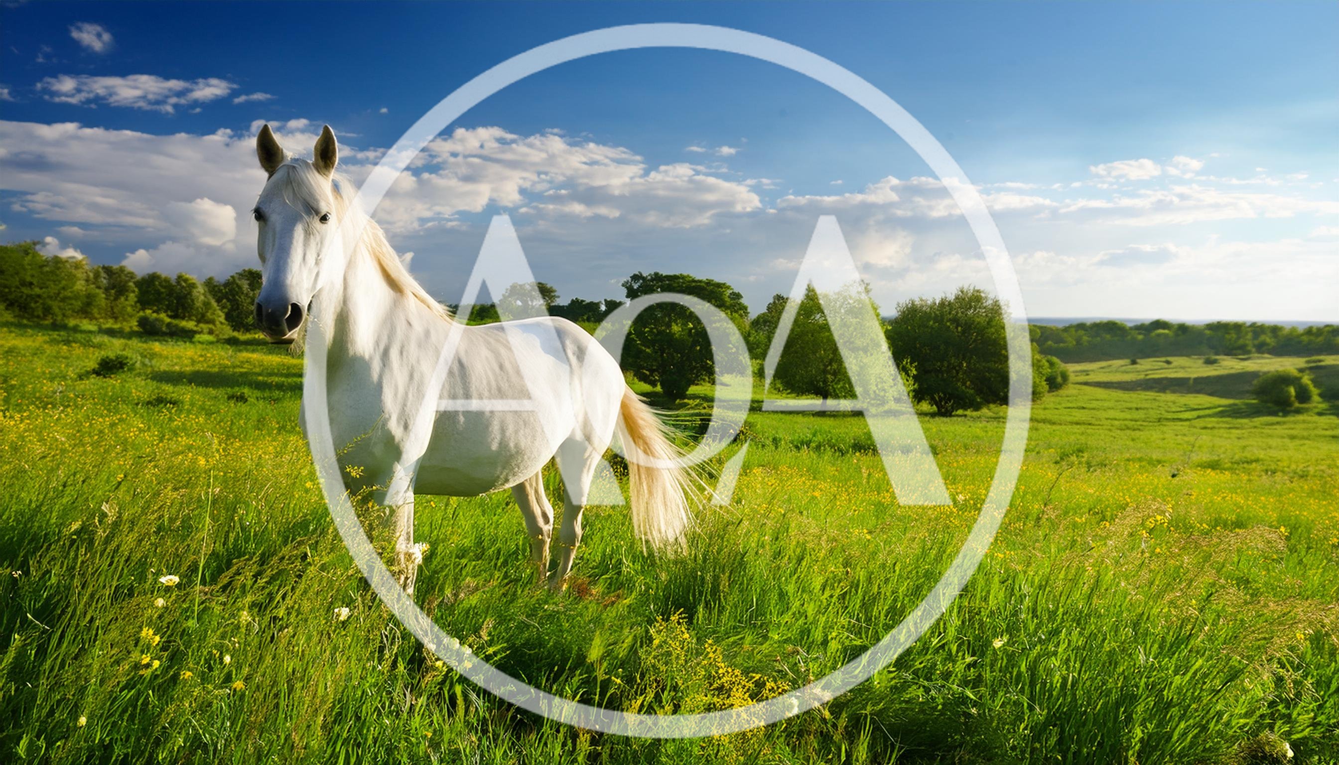 White Horse Standing In A Lush Green Meadow