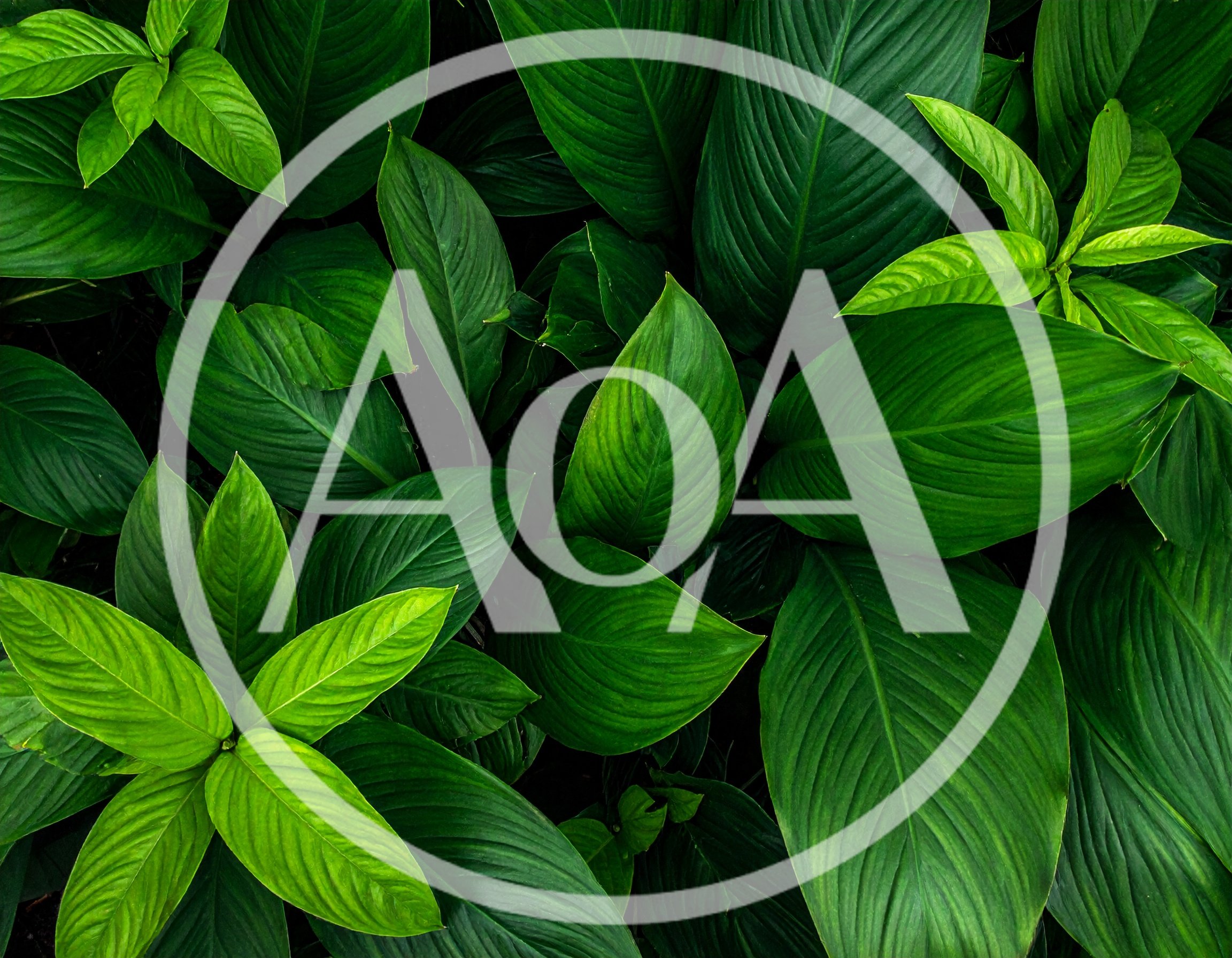 Lush Green Tropical Foliage Background