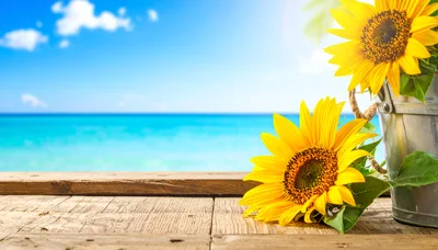Sunflowers in Metal Bucket on Wooden Table by Ocean