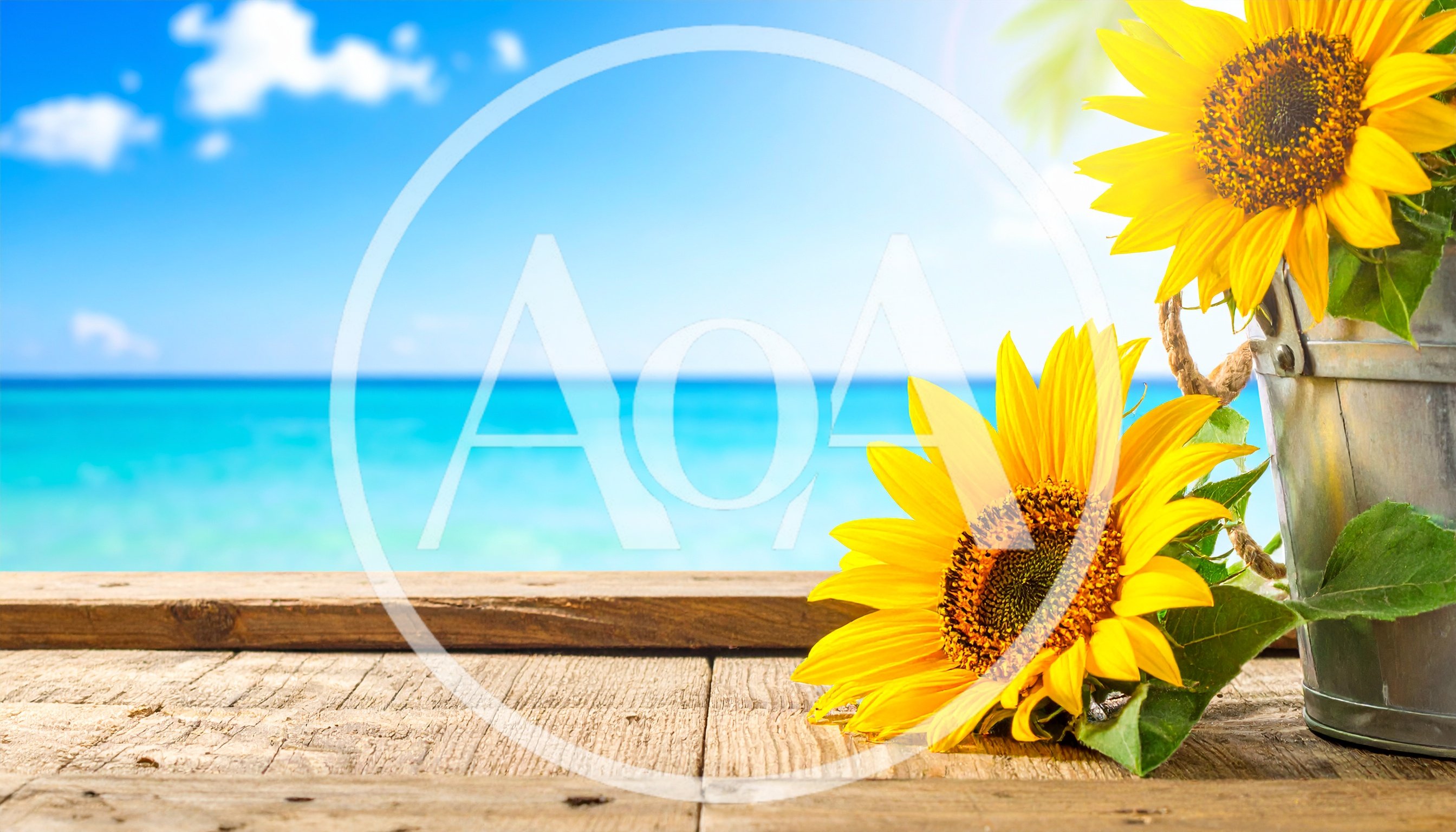 Sunflowers in Metal Bucket on Wooden Table by Ocean