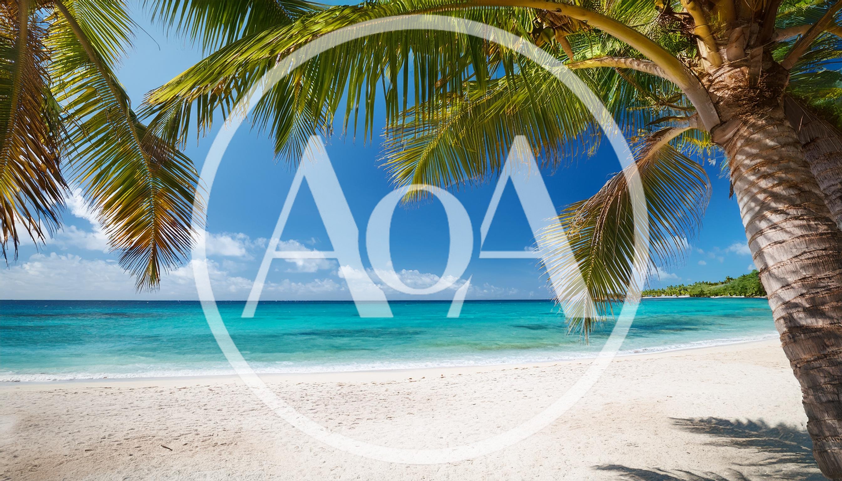 Tropical Beach Scene With Palm Tree Overlooking Turquoise Ocean