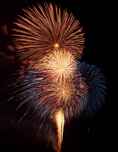 Vibrant Multi-Colored Fireworks Display Against Night Sky