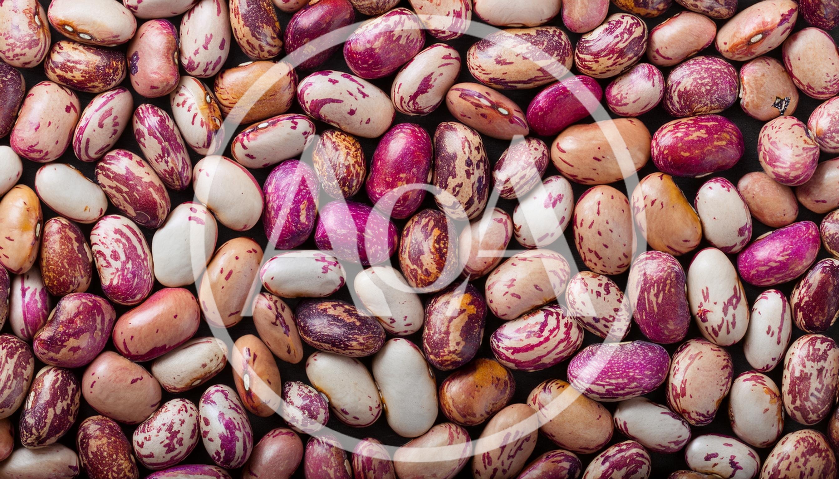 Top View Of Raw Pinto Beans Background
