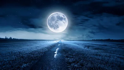 Full Moon Over A Dark Rural Field Path