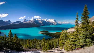 Panoramic View Of Peyto Lake In Banff National Park