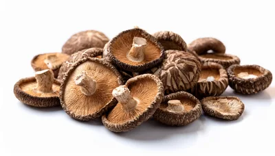 Dried Shiitake Mushrooms Pile On White Background